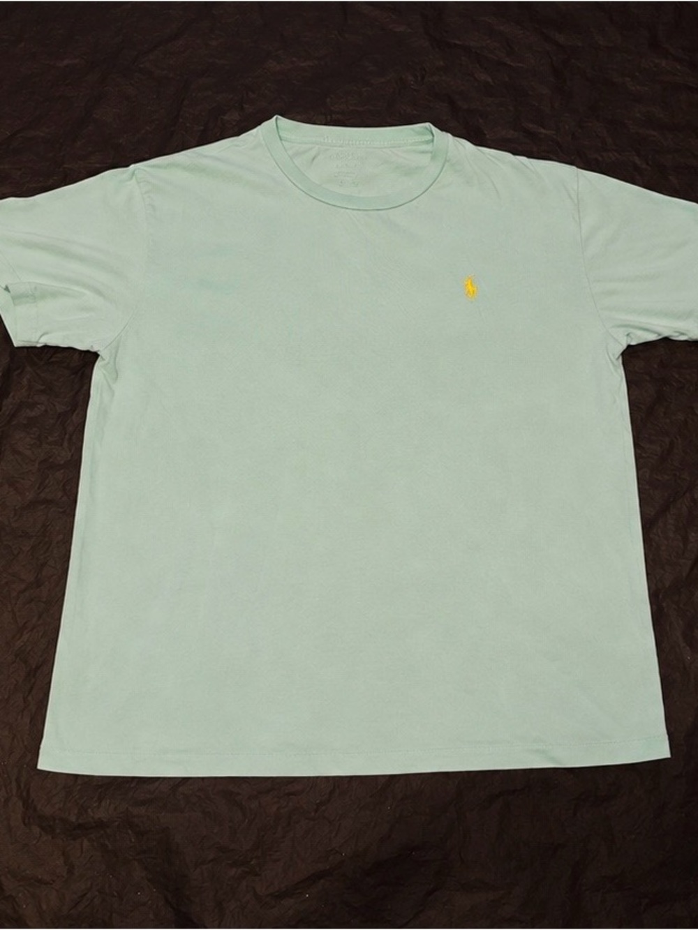 Polo Ralph Lauren Mint Green Yellow Pony Tee
